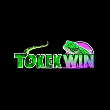 TOKEKWIN - Aplikasi Navigasi Mobil Terbaik untuk Perjalanan Anda